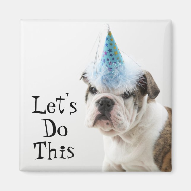 Aimant Chien-chien britannique portant un Casquette de pa (Devant)