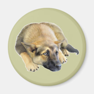 Aimant Chien Chien Chien Chien Allemand Chien Chien Chien