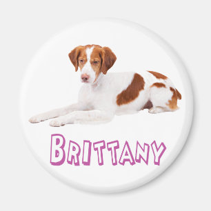 Aimant Chien Chiot Brittany Spaniel