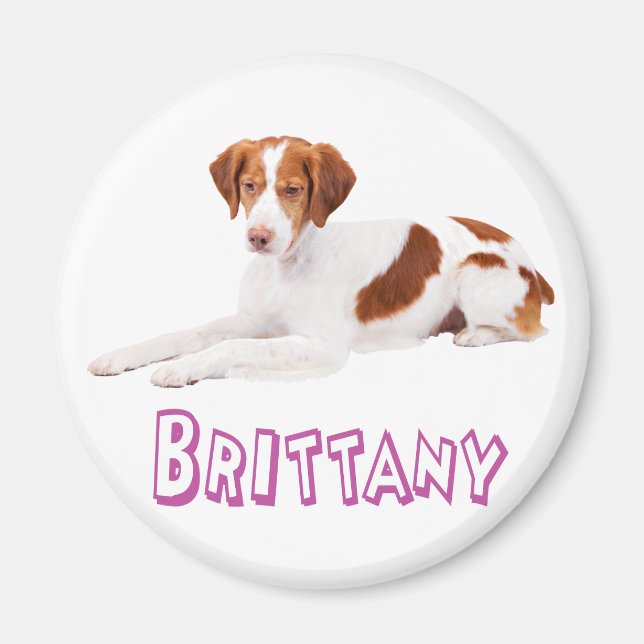 Aimant Chien Chiot Brittany Spaniel (Devant)