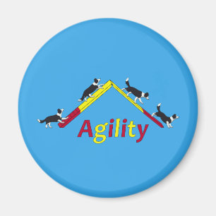 Aimant Chien d'agilité