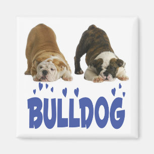 Aimant Chien d'amour de chiot Bouledogue Anglais