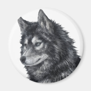 Aimant Chien de Balto