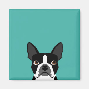Aimant chien de Boston Terrier
