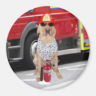 Aimant Chien de foyer