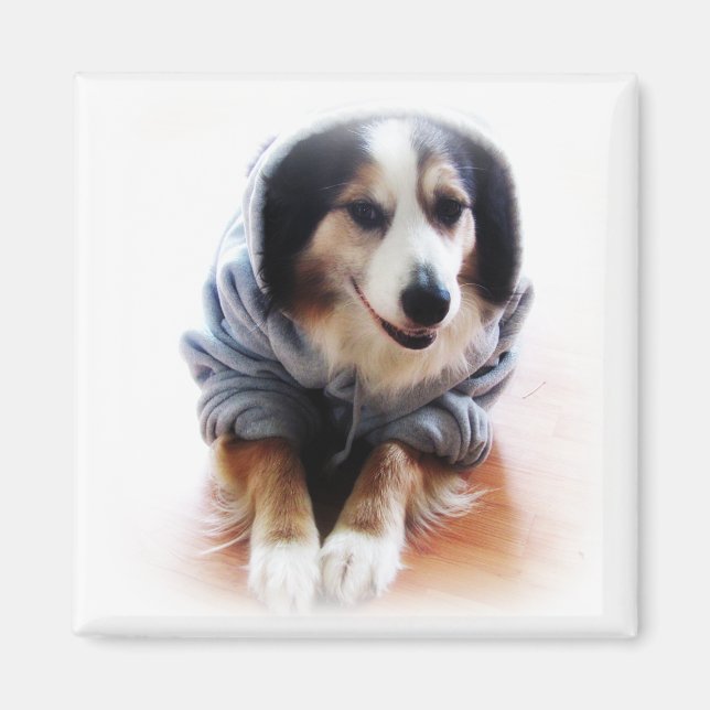 Aimant Chien de Gangsta portant le Sweat - shirt à capuch (Devant)