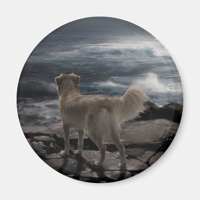 Aimant Chien de mer (Devant)