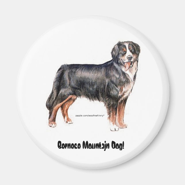 Aimant Chien de montagne bernois (Devant)