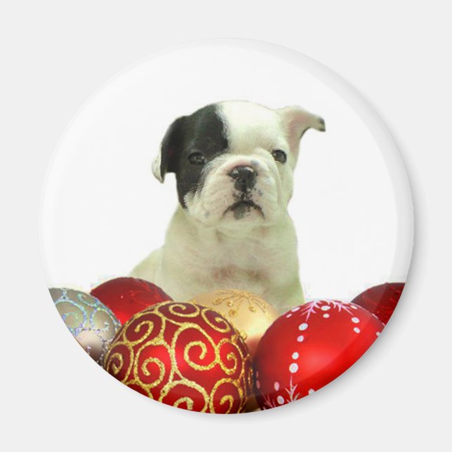 Aimant Chien de Noël (Devant)