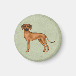 Aimant Chien de Rhodesie Ridgeback Race de chien Lion d'A