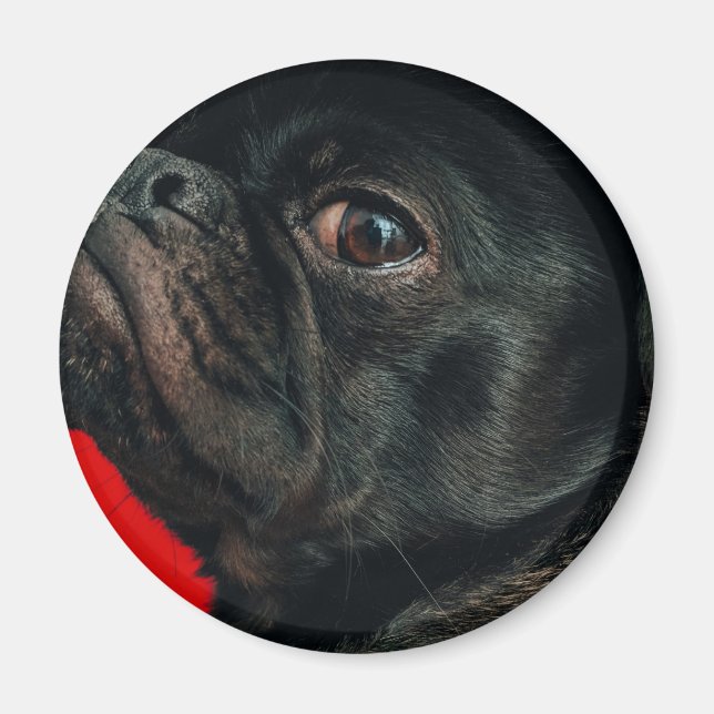 Aimant chien de rojo (Devant)
