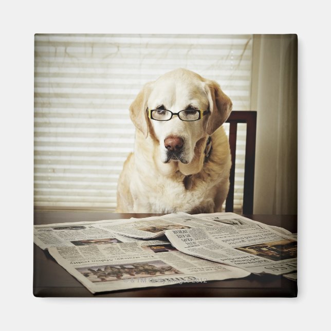 Aimant Chien de routine du matin (Devant)