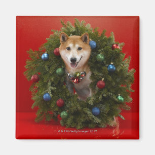 Aimant Chien de Shiba Inu assis sur la couronne de Noël