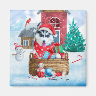 Aimant Chien de Sibérie Husky dans la neige Maison de Chi