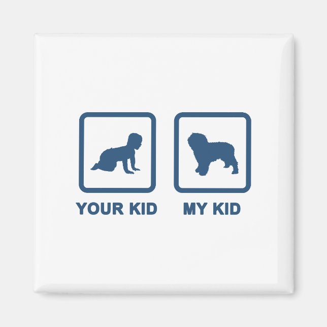 Aimant Chien d'eau espagnol (Devant)