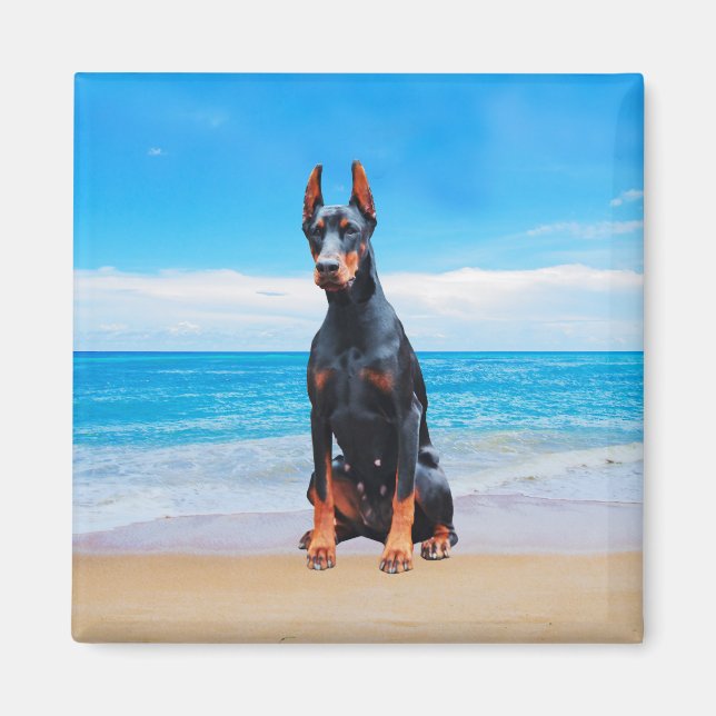 Aimant Chien Doberman Assis Sur La Plage (Devant)