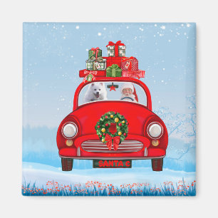 Aimant Chien Esquimau Américain En Voiture Avec Le Père N