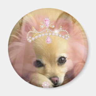 Aimant chien féerique de princesse avec la couronne de