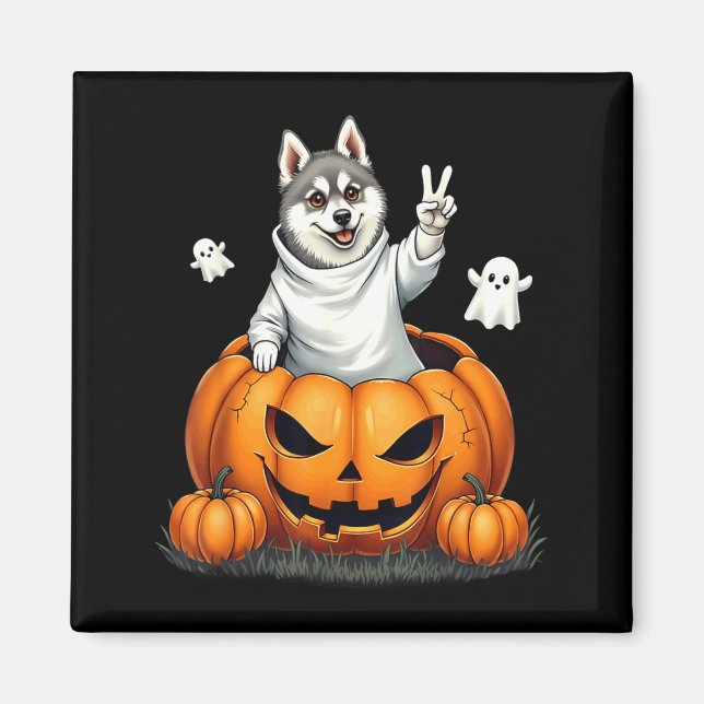 Aimant Chien Klee Kai d'Alaska Fantôme Boo Citrouille Hal (Devant)