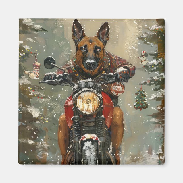 Aimant Chien Malinois Belge à Vélo à Noël  (Devant)