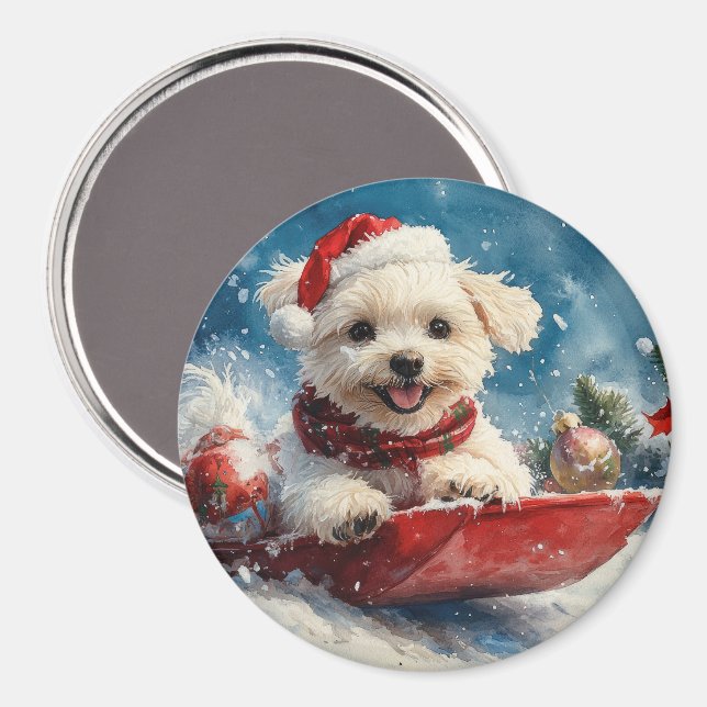 Aimant Chien maltais dans la corniche laissez passer Noël (Recto/Verso)