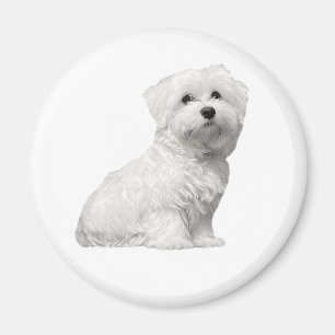 Aimant Chien maltais mignon assis chiot