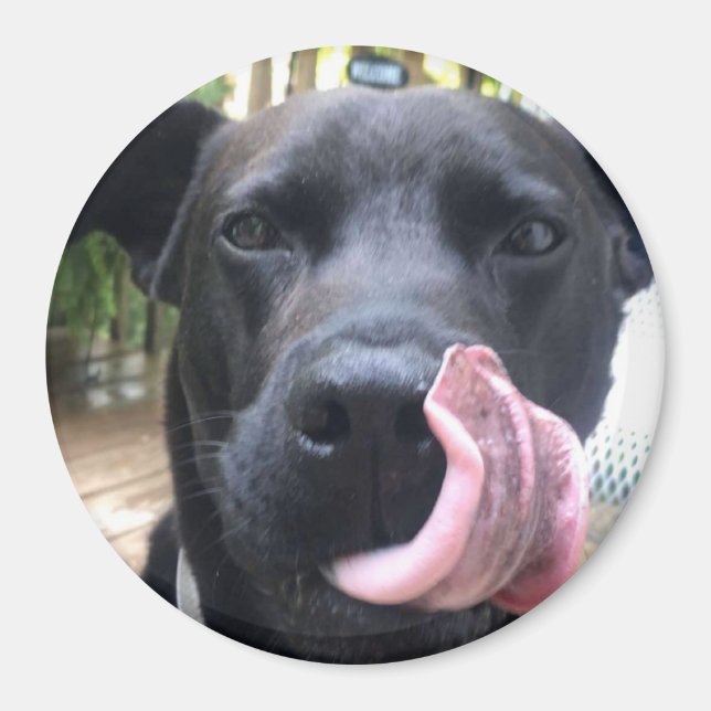 Aimant Chien noir (Devant)
