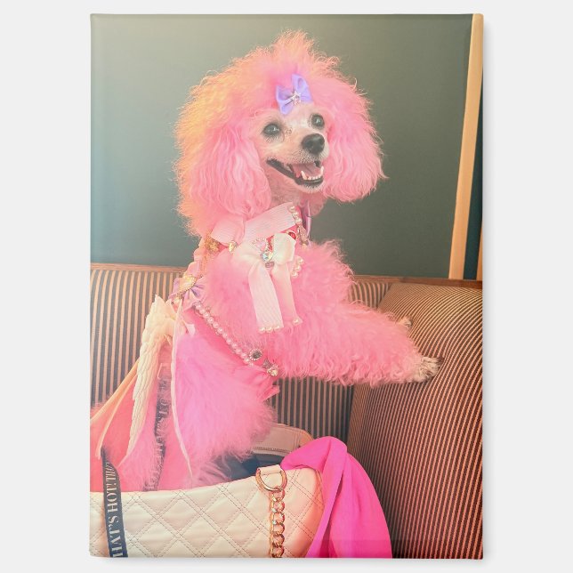 Aimant chien nu poodle rose, cadeau aimant chien n (Recto)