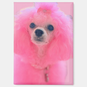 Aimant chien nu poodle rose, cadeau aimant chien n