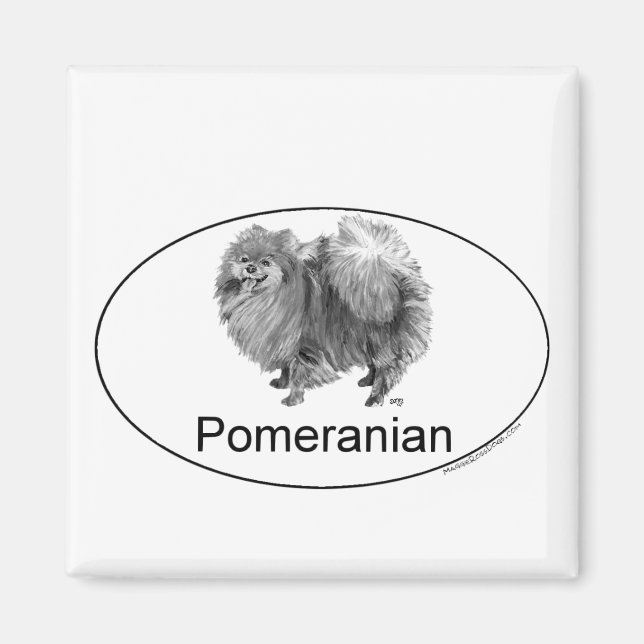 Aimant Chien Poméranien Eruo (Devant)