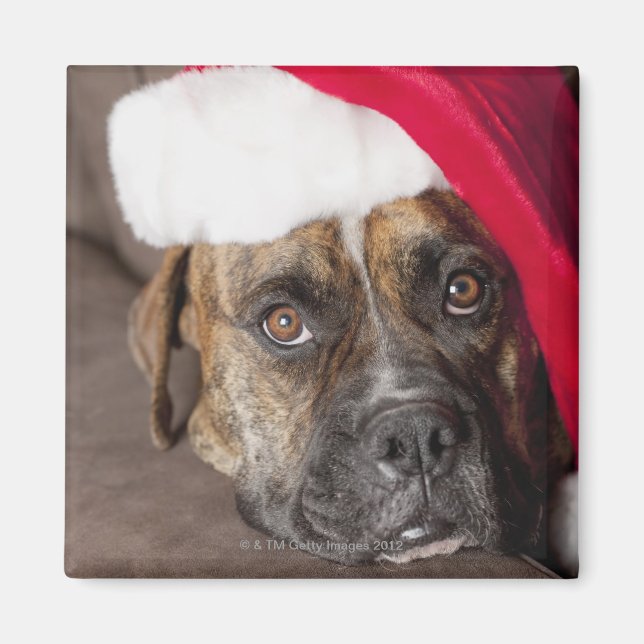 Aimant Chien portant un chapeau de Père Noël (Devant)