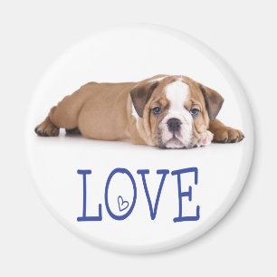Aimant Chien Puppy Bouledogue Anglais