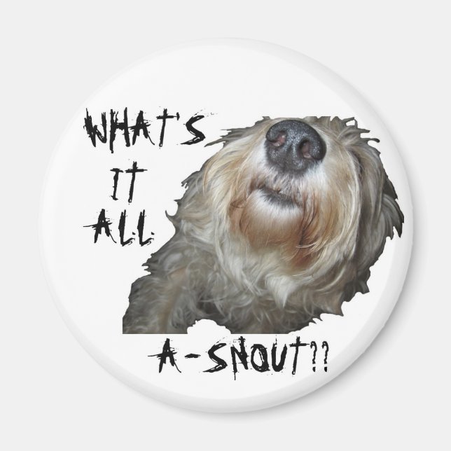 Aimant Chien "QU'EST-CE QUE C'EST QUE DE LA NEIGE ? ?" Ma (Devant)