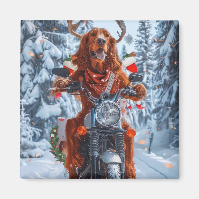 Aimant Chien Setter Rouge Irlandais à Vélo à Noël (Devant)