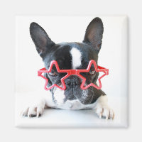 Chien-taureaux Français Avec Lunettes Red Star