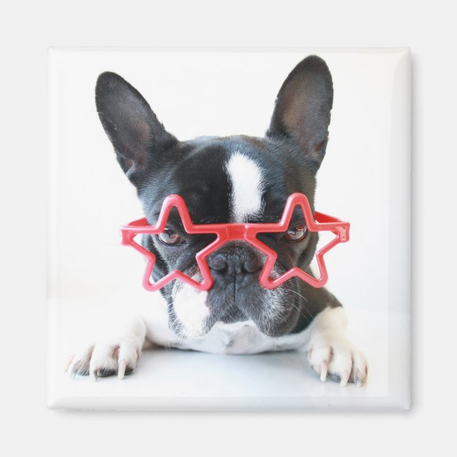 Aimant Chien-taureaux Français Avec Lunettes Red Star (Devant)