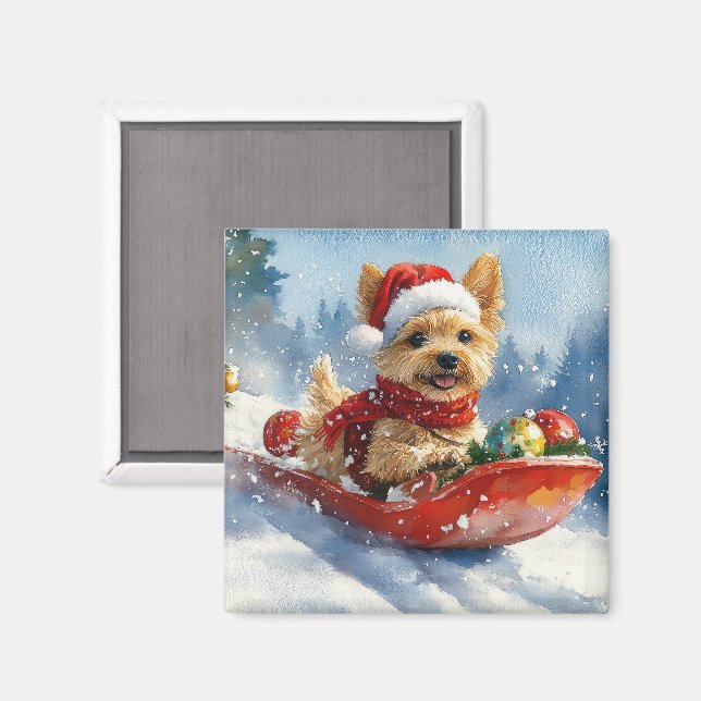 Aimant Chien Terrier de la baie de Chesapeake dans un tra (Recto/Verso)
