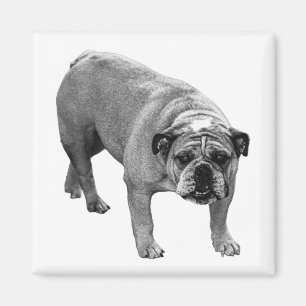 Aimant Chien-tête de liste des réfrigérateurs