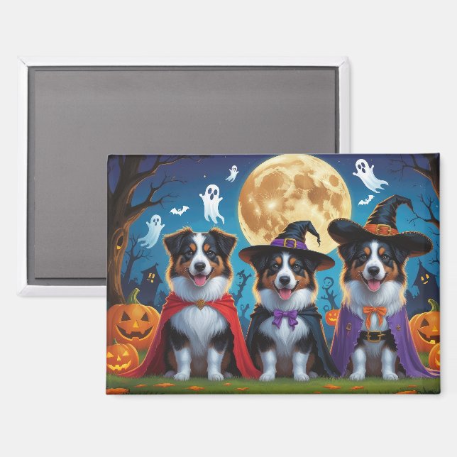 Aimant Chiens bergers australiens Citrouille Halloween dr (Recto/Verso)