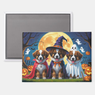 Aimant Chiens bergers belges Citrouille Halloween Funny