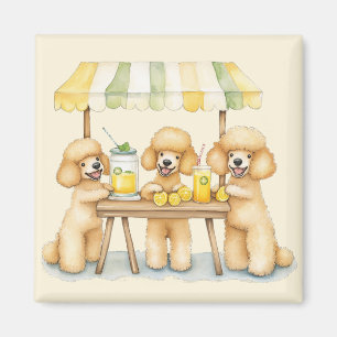Aimant Chiens De Poodle Standard Avec Un Socle De Lemonad