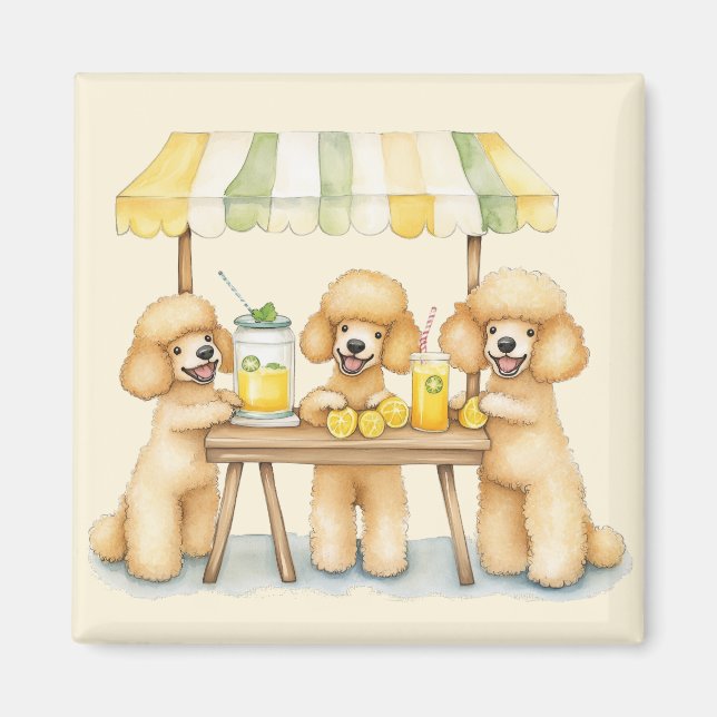 Aimant Chiens De Poodle Standard Avec Un Socle De Lemonad (Devant)