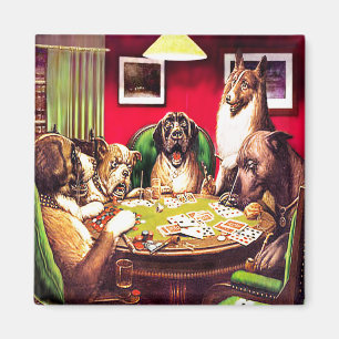 Aimant chiens du tisonnier 10b : Waterloo