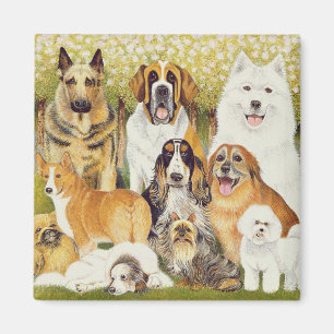 Aimant Chiens en mai