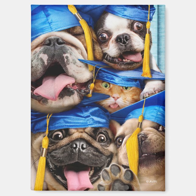 Aimant Chiens et chats diplômés en photomaton (Recto)