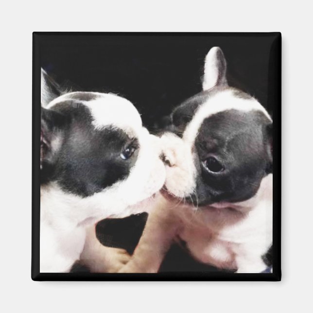 Aimant Chiens français (Devant)