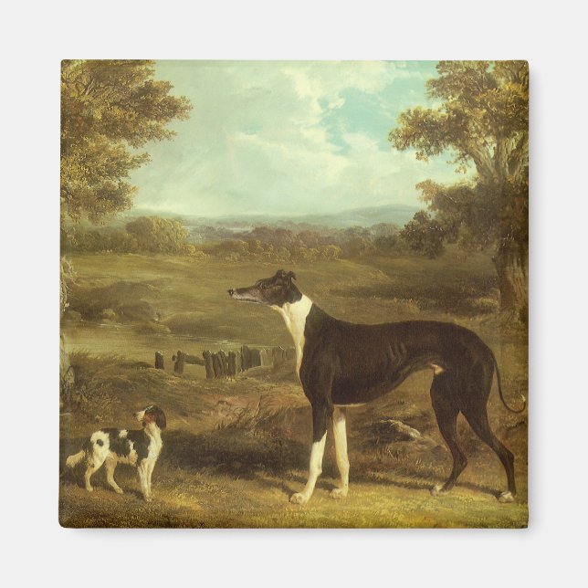 Aimant Chiens, Greyhound et Spaniel, Docteur Fop par Herr (Devant)