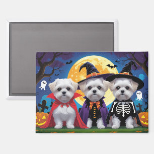 Aimant Chiens maltais Citrouille Halloween drôle