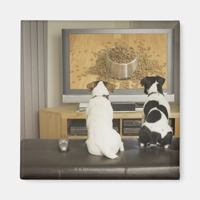 Aimant Chiens regardant un plat de chien avec de la nourr (Devant)