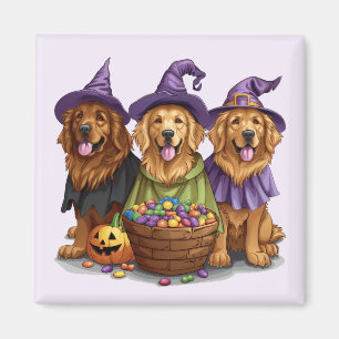 Aimant Chiens sorciers de Halloween Golden Retriever